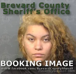 Booking photo from Brevard County, Florida