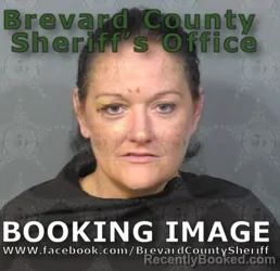 Booking photo from Brevard County, Florida