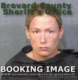 Mugshot of ERIN DYAN MEISNER