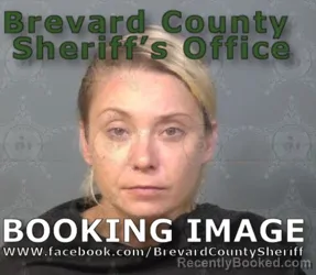 Booking photo from Brevard County, Florida