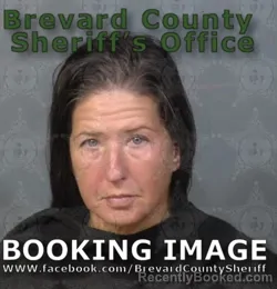 Mugshot of JILL ALANA PICARD