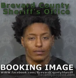 Mugshot of Brittney Toccara Walker