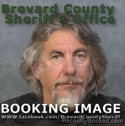 Mugshot of LEE GEORGE THEOPHELIS