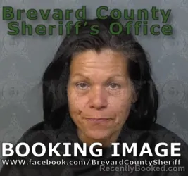 Booking photo from Brevard County, Florida
