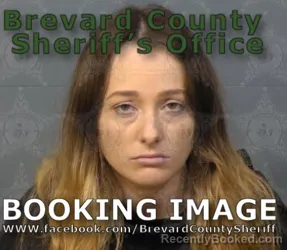 Booking photo from Brevard County, Florida