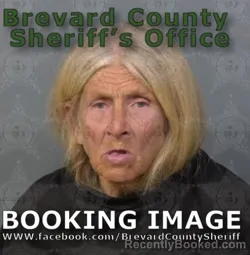 Mugshot of Robin Gail Kean