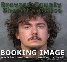 Mugshot of TIMOTHY EDWIN MILLS