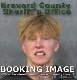 Booking photo from Brevard County, Florida