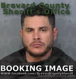 Mugshot of MARCUS LEE REEVES