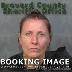 Booking photo from Brevard County, Florida