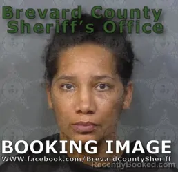 Booking photo from Brevard County, Florida