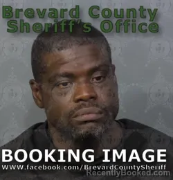 Mugshot of ELIM HORTON FERGUSON