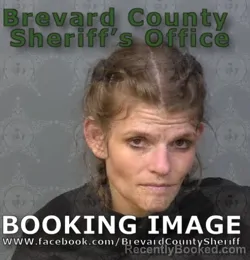 Mugshot of NICOLE LEE COLLINS