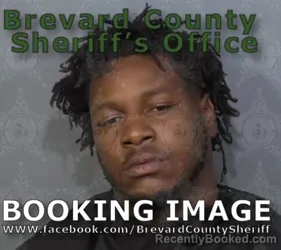 Mugshot of Willie James Williams