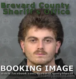 Mugshot of CHRISTOPHER TYLER WALTON