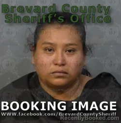 Mugshot of ANA MERCEDES BRAN AGUILAR