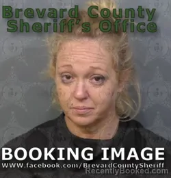 Booking photo from Brevard County, Florida