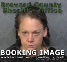 Mugshot of MELISSA MARIE FINK