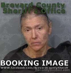 Booking photo from Brevard County, Florida