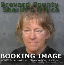 Mugshot of DIANE LOUISE VANBUREN