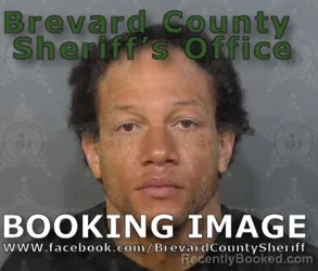 Mugshot of Rain Joel Pipkins