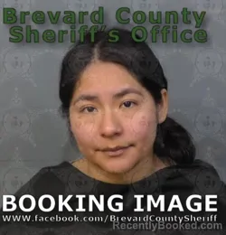 Mugshot of Alba Yaneri Sanchez