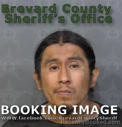 Mugshot of IAN ANDERSON