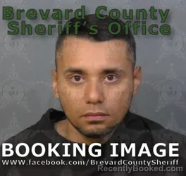 Mugshot of NESTOR FARIAS SUAREZ