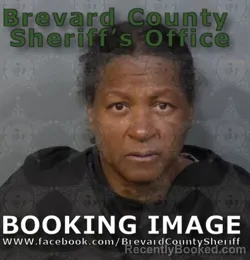 Mugshot of Lisa Elaine Hamilton