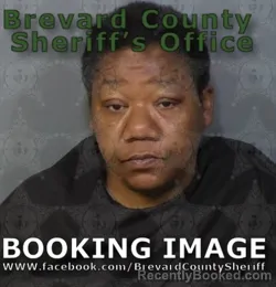 Mugshot of Rashida Jamillah Raines