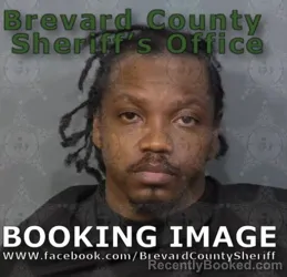 Mugshot of Nicholas Giordan Hussien Makura White