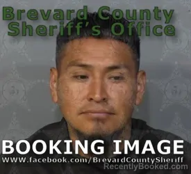 Mugshot of CARLOS MENDEZ VICENTE