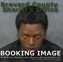 Mugshot of Terrence Austin Burns McDonald