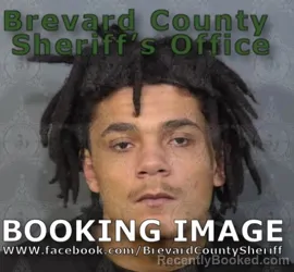 Mugshot of DONOVAN NIGEL LEE