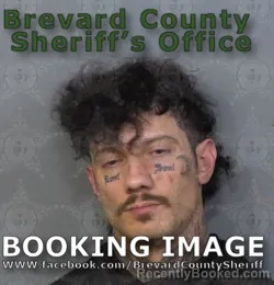 Mugshot of Michael James Caskey