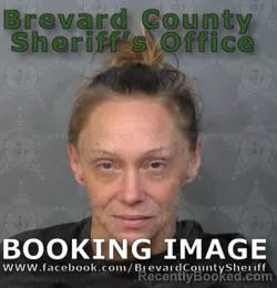 Mugshot of PAMELA AMBER LACLAIR