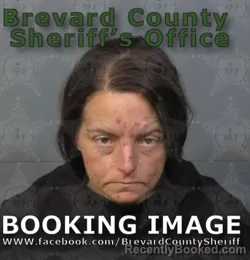 Mugshot of Kristyn Claire Wilmot