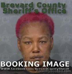 Booking photo from Brevard County, Florida