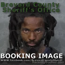 Mugshot of ROBERT LAMONT NELSON