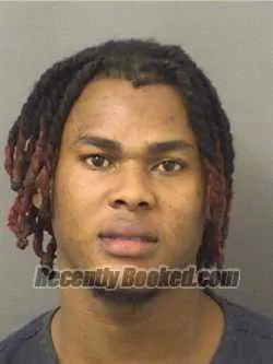 Booking photo from Palm Beach County, Florida