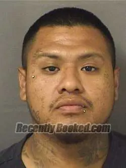 Booking photo from Palm Beach County, Florida