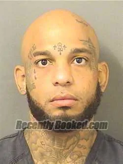 Booking photo from Palm Beach County, Florida