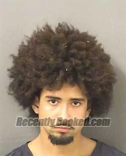 Booking photo from Palm Beach County, Florida