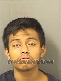 Booking photo from Palm Beach County, Florida