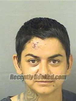 Booking photo from Palm Beach County, Florida