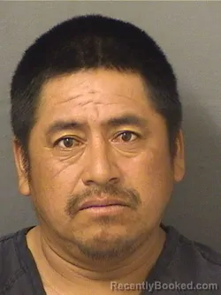 Booking photo from Palm Beach County, Florida