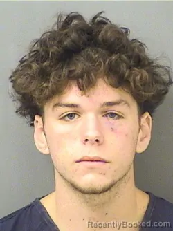 Booking photo from Palm Beach County, Florida