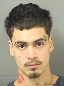 Booking photo from Palm Beach County, Florida