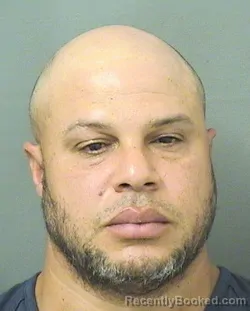 Booking photo from Palm Beach County, Florida