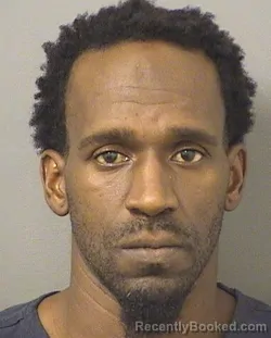 Mugshot of LANARD BRYANT